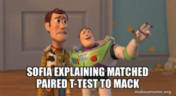 Buzz and Woody (Toy Story) Meme