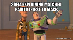 Buzz and Woody (Toy Story) Meme