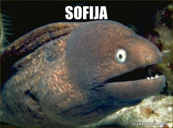 Bad Joke Eel