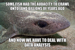 Dirty Joke Dogfish