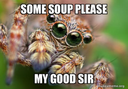 Hipster Spider