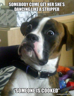 Skeptical Dog