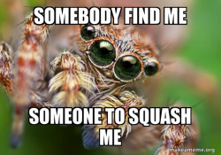 Hipster Spider