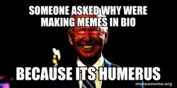 Kevin Meme