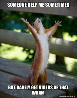 Happy Squirrel