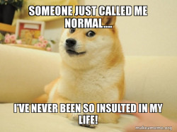 Doge