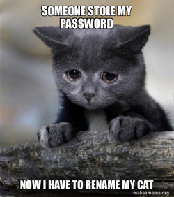 someone stole my