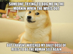 Doge
