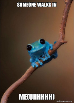 Small Fact Frog