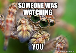 Hipster Spider