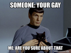 Spock and Cat Meme