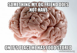 A brain 