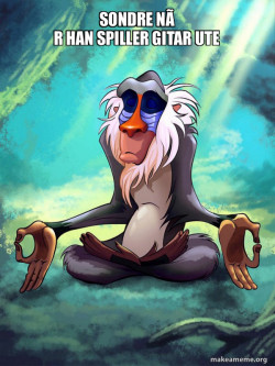 Rafiki Meditating - Lion King