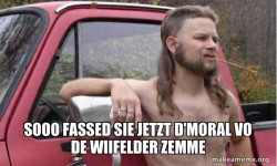 Almost Politically Correct Redneck