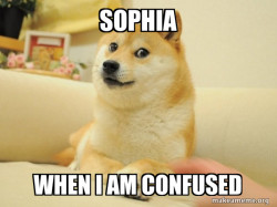 Doge
