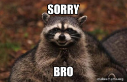 Evil Plotting Raccoon