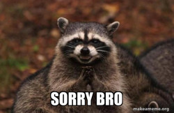 Evil Plotting Raccoon