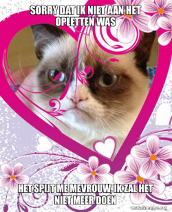 Grumpy cat Valentines Day