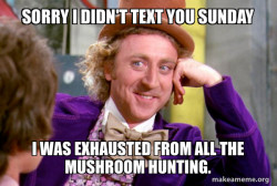 Condescending Wonka