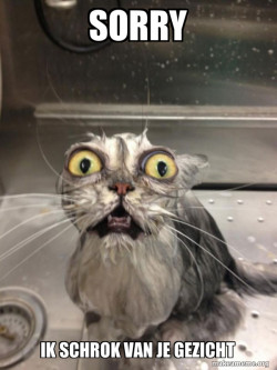 Cat bath