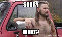 Almost Politically Correct Redneck