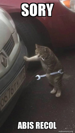 Mechanic Cat