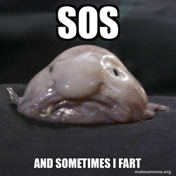 Hi im fart