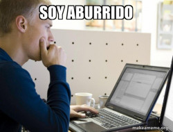 Programmer