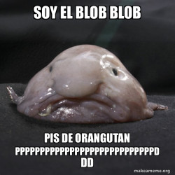 Blobfish