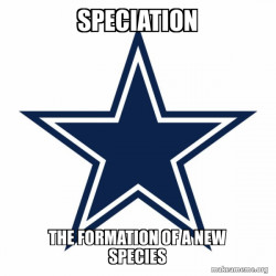 Dallas Cowboys