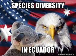Ameristralia