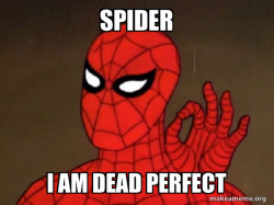 Spiderman - Care factor Zero