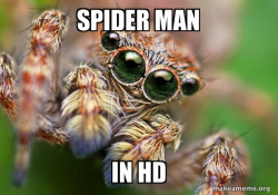 Hipster Spider