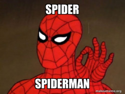 Spiderman - Care factor Zero