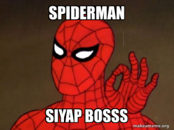 Spiderman - Care factor Zero