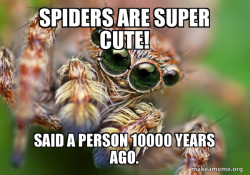 Hipster Spider