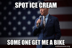 Joe Biden 2020