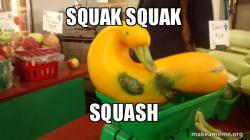Gourd Advice Mallard