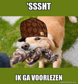 Scumbag dog