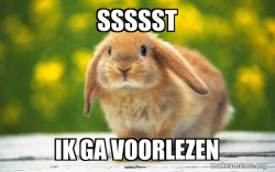 Regretful Rabbit