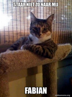 The Most Interesting Cat in the World