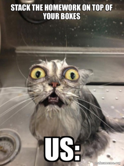 Cat bath