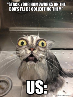 Cat bath