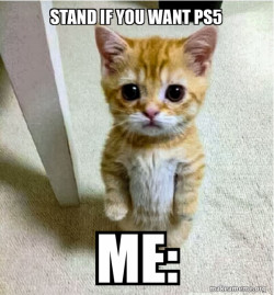 Cute Cat Standing