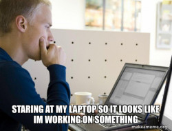 Programmer