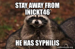 Evil Plotting Raccoon