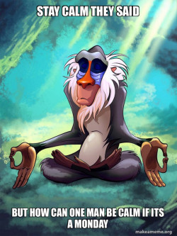 Rafiki Meditating - Lion King