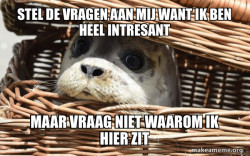 Impending Doom Seal
