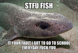 Dirty Joke Dogfish