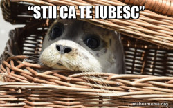 Impending Doom Seal